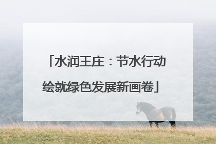 水润王庄：节水行动绘就绿色发展新画卷