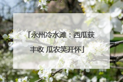 永州冷水滩：西瓜获丰收 瓜农笑开怀