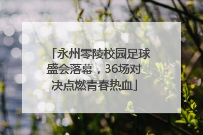 永州零陵校园足球盛会落幕，36场对决点燃青春热血