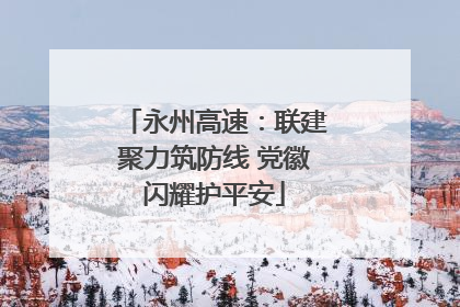 永州高速：联建聚力筑防线 党徽闪耀护平安