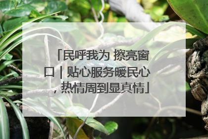 民呼我为 擦亮窗口｜贴心服务暖民心，热情周到显真情