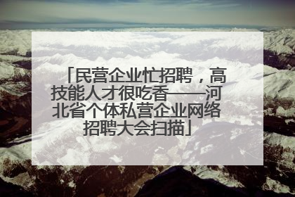 民营企业忙招聘，高技能人才很吃香——河北省个体私营企业网络招聘大会扫描