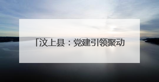 汶上县：党建引领聚动能 组团发展促共富