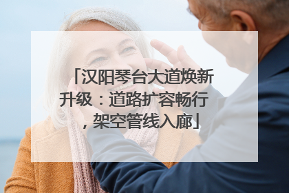 汉阳琴台大道焕新升级：道路扩容畅行，架空管线入廊