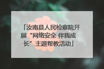 汝南县人民检察院开展“网络安全 伴我成长”主题帮教活动