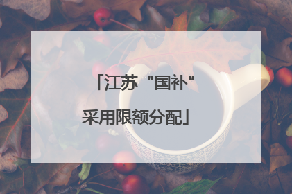 江苏“国补”采用限额分配