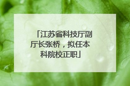 江苏省科技厅副厅长张桥，拟任本科院校正职