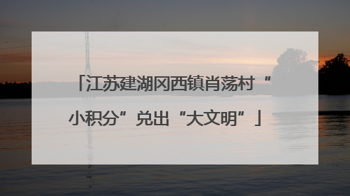 江苏建湖冈西镇肖荡村“小积分”兑出“大文明”