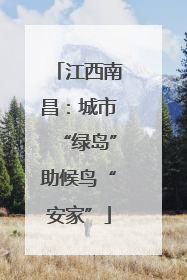 江西南昌：城市“绿岛”助候鸟“安家”