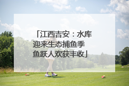 江西吉安：水库迎来生态捕鱼季 鱼跃人欢获丰收
