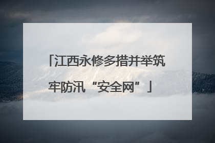 江西永修多措并举筑牢防汛“安全网”