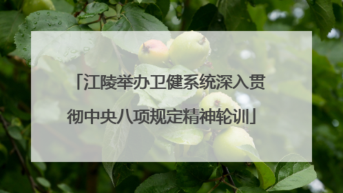 江陵举办卫健系统深入贯彻中央八项规定精神轮训