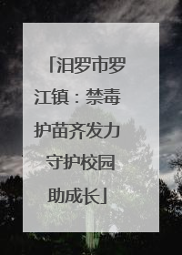 汨罗市罗江镇：禁毒护苗齐发力 守护校园助成长