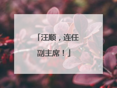 汪顺，连任副主席！