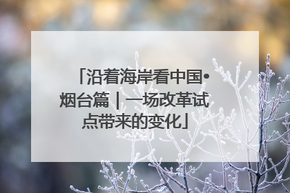 沿着海岸看中国•烟台篇｜一场改革试点带来的变化