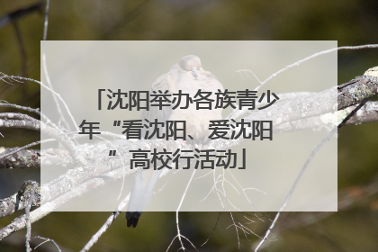 沈阳举办各族青少年“看沈阳、爱沈阳”高校行活动