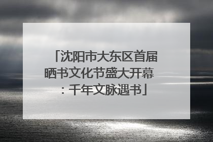 沈阳市大东区首届晒书文化节盛大开幕：千年文脉遇书