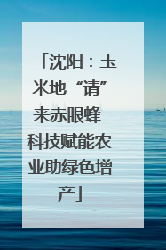 沈阳：玉米地“请”来赤眼蜂 科技赋能农业助绿色增产