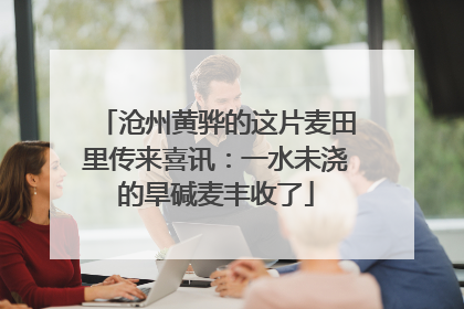 沧州黄骅的这片麦田里传来喜讯：一水未浇的旱碱麦丰收了