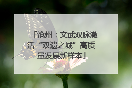 沧州：文武双脉激活“双遗之城”高质量发展新样本