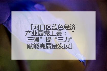 河口区蓝色经济产业园党工委：“三强”提“三力”赋能高质量发展