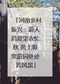 河南乡村振兴：游人消夏果农忙秋 黄土塬变游园处处皆风景