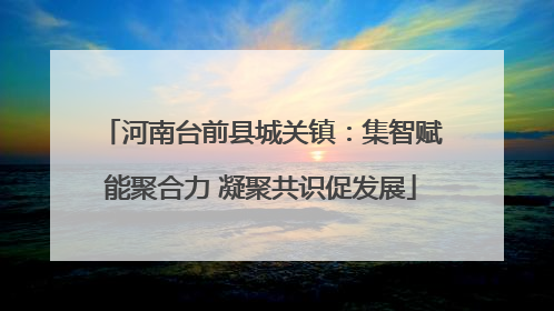 河南台前县城关镇：集智赋能聚合力 凝聚共识促发展