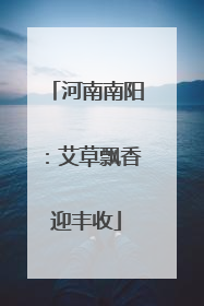 河南南阳：艾草飘香迎丰收