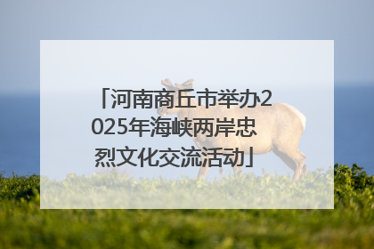 河南商丘市举办2025年海峡两岸忠烈文化交流活动