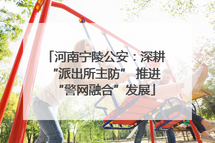 河南宁陵公安：深耕“派出所主防” 推进“警网融合”发展