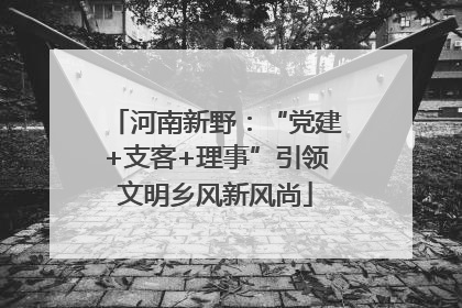 河南新野：“党建+支客+理事”引领文明乡风新风尚