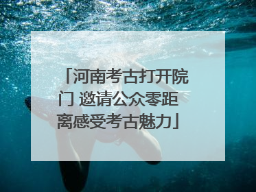 河南考古打开院门 邀请公众零距离感受考古魅力