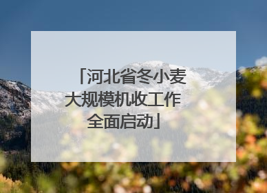 河北省冬小麦大规模机收工作全面启动