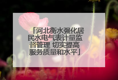 河北衡水强化居民水电气表计量监督管理 切实提高服务质量和水平