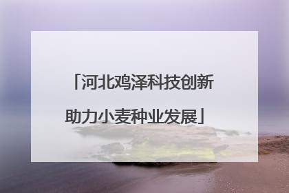 河北鸡泽科技创新助力小麦种业发展