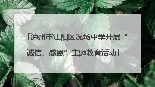泸州市江阳区况场中学开展“诚信、感恩”主题教育活动