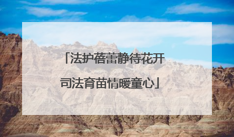 法护蓓蕾静待花开 司法育苗情暖童心