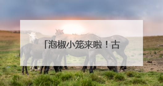 泡椒小笼来啦！古猗园小笼餐厅上新，荷花、荷叶、藕带、莲子做的荷花宴也来尝一下？
