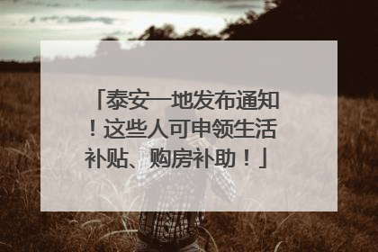 泰安一地发布通知！这些人可申领生活补贴、购房补助！