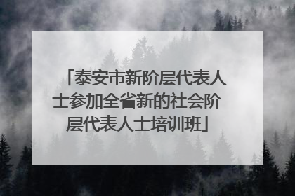泰安市新阶层代表人士参加全省新的社会阶层代表人士培训班