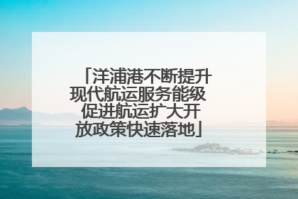 洋浦港不断提升现代航运服务能级 促进航运扩大开放政策快速落地