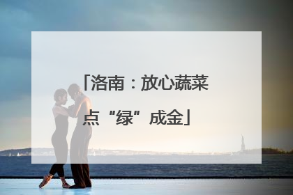 洛南：放心蔬菜点“绿”成金