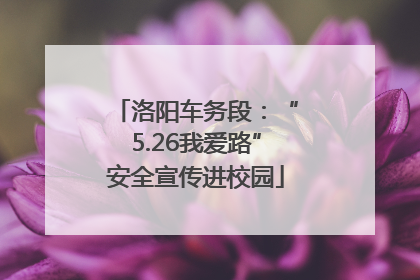 洛阳车务段：“5.26我爱路”安全宣传进校园