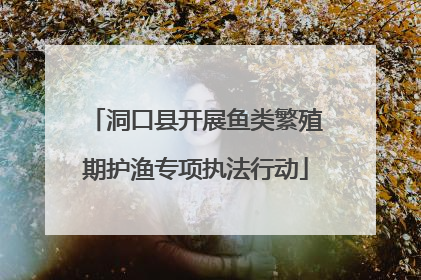 洞口县开展鱼类繁殖期护渔专项执法行动