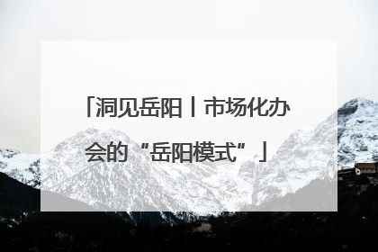 洞见岳阳丨市场化办会的“岳阳模式”