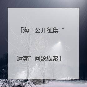 海口公开征集“运霸”问题线索