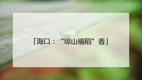 海口：“琼山福稻”香