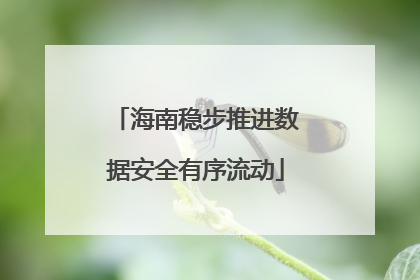 海南稳步推进数据安全有序流动
