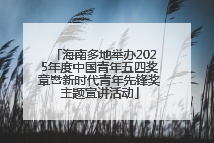 海南多地举办2025年度中国青年五四奖章暨新时代青年先锋奖主题宣讲活动