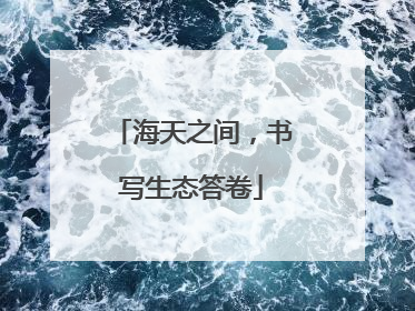 海天之间，书写生态答卷